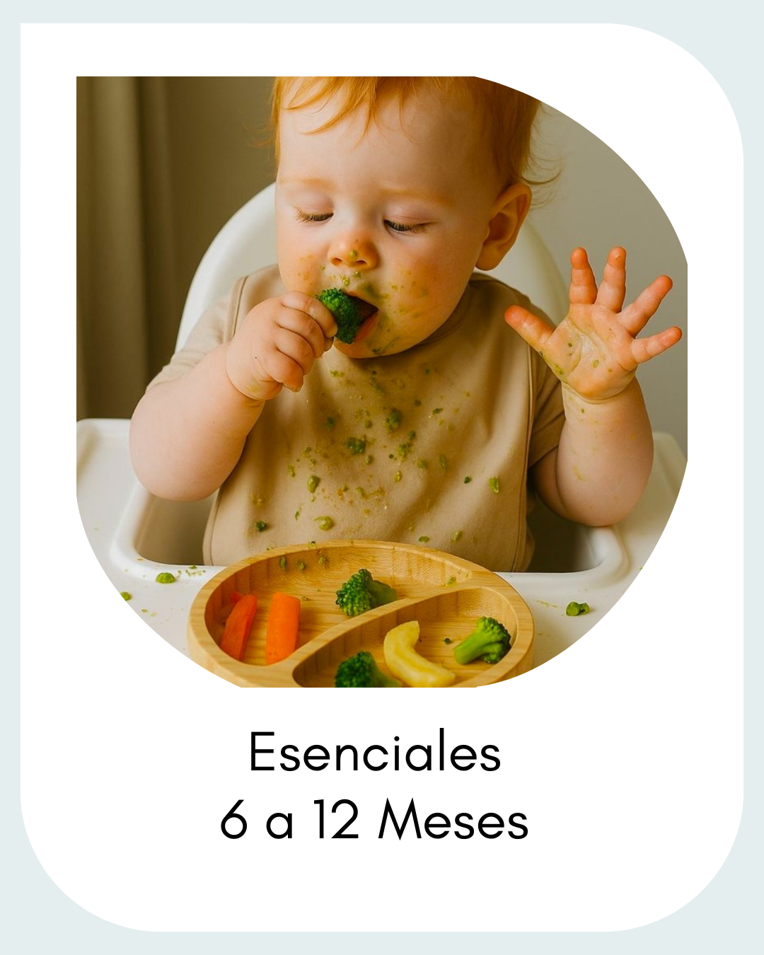 Esenciales de 6 a 12 Meses