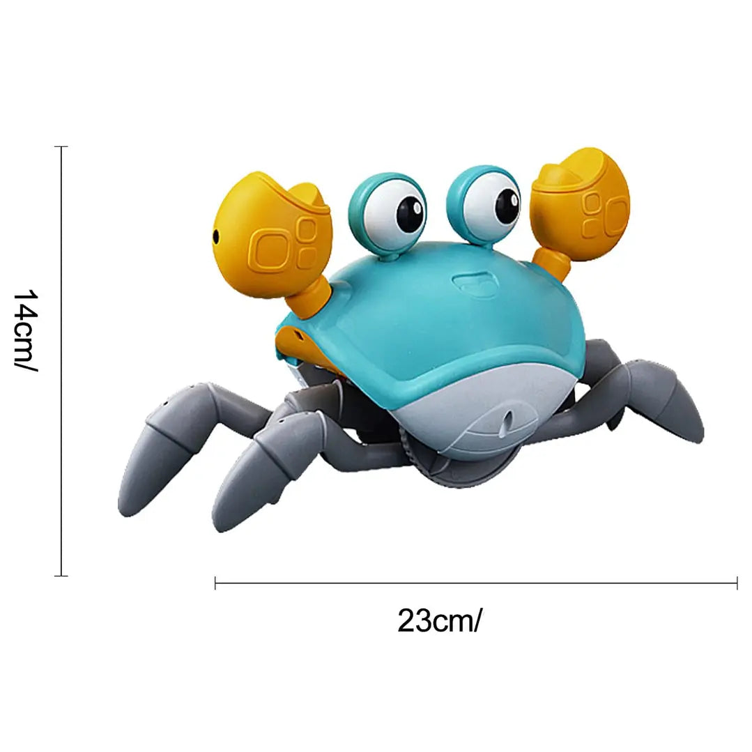 Cangrejo Caminador Musical