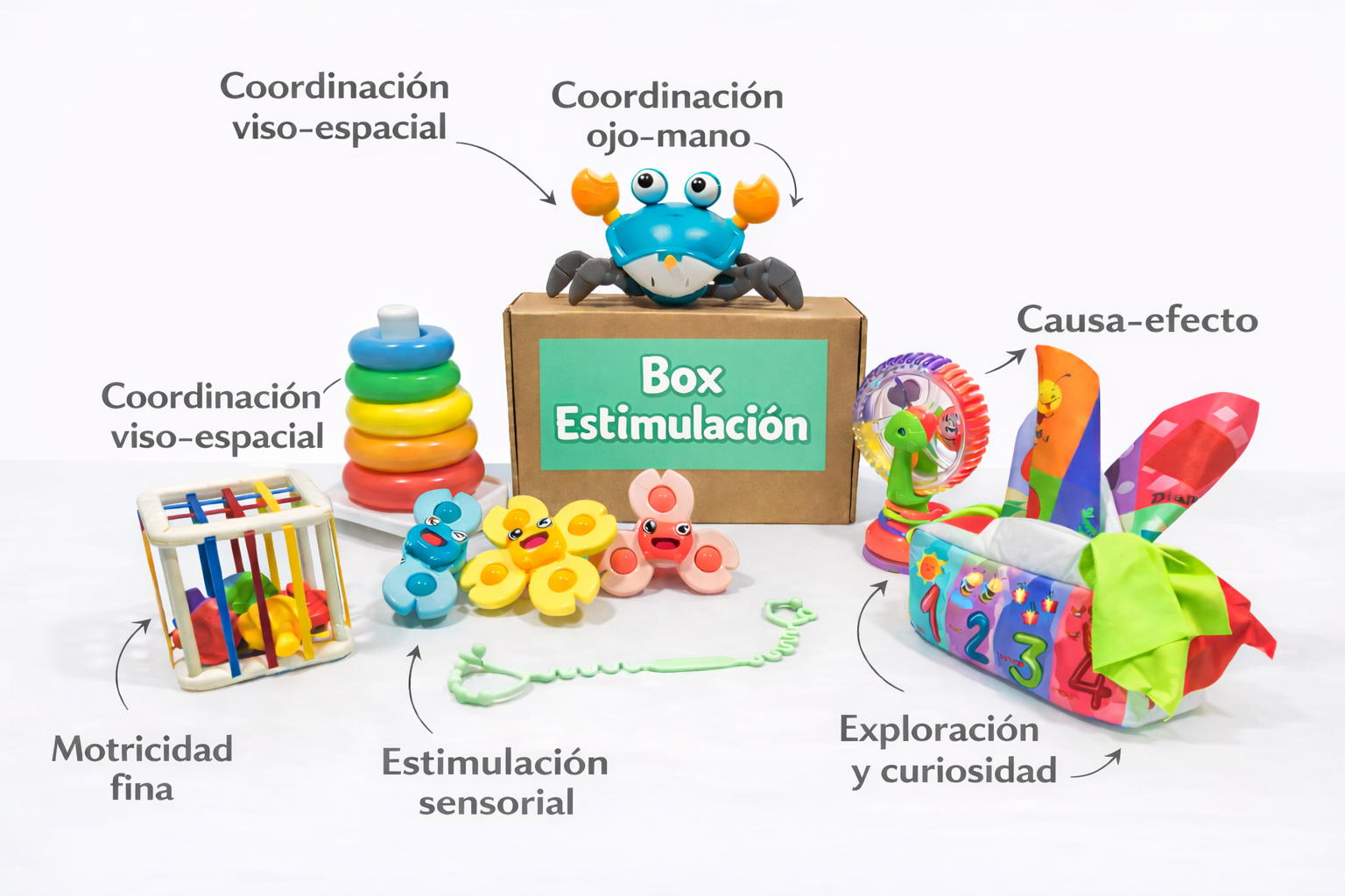 Box Estimulación Temprana 6 a 12 Meses