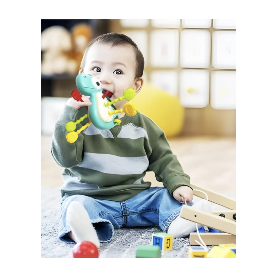 Mordedor Multifuncional Dino