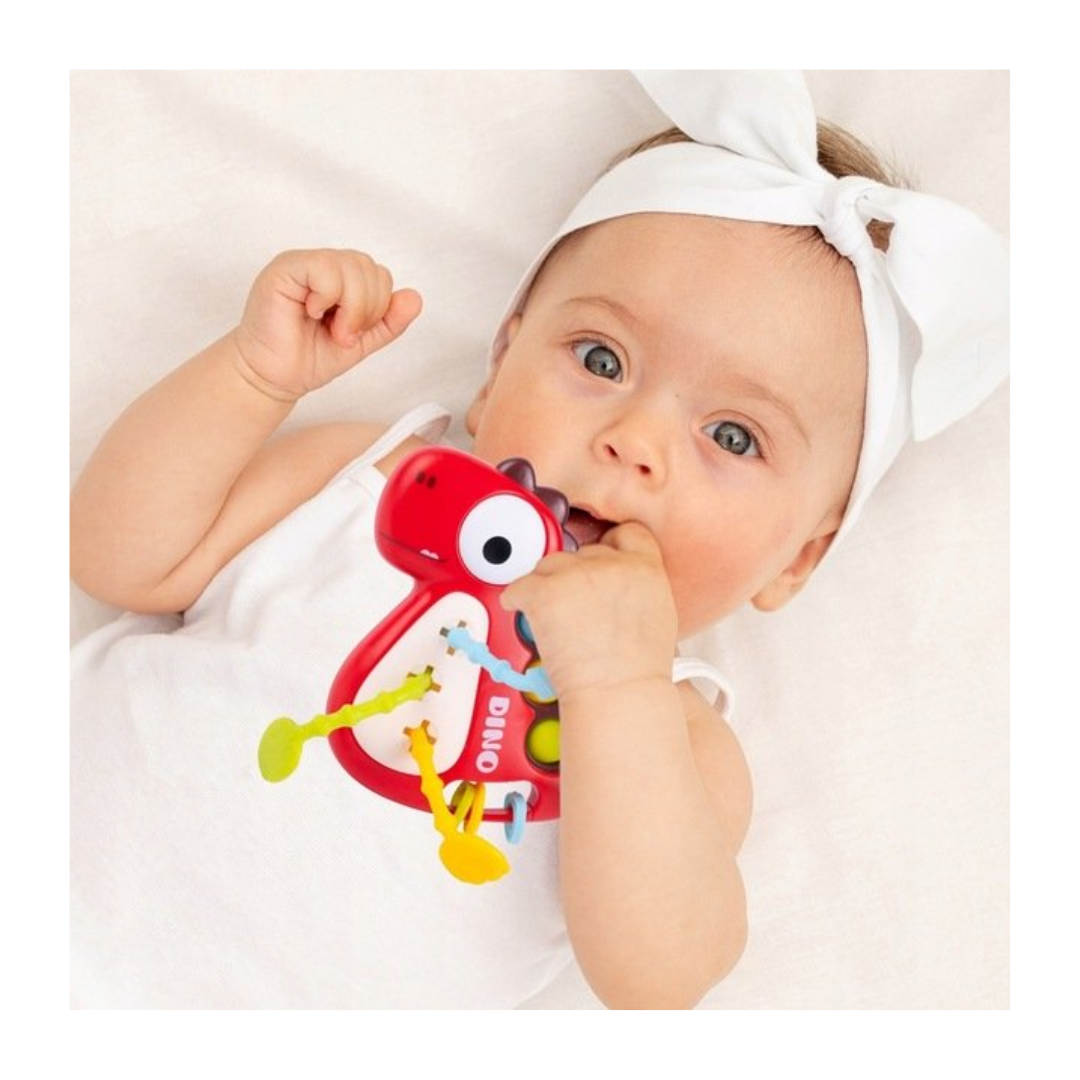 Mordedor Multifuncional Dino Verde