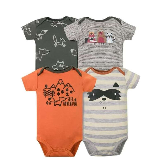 Pack 4 Bodies Mapache