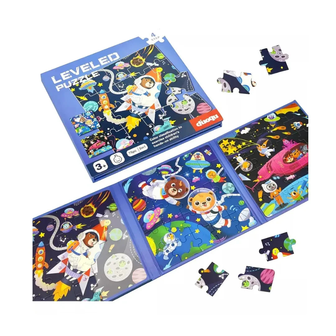 Rompecabezas Nivel 4 Magnético 3 en 1