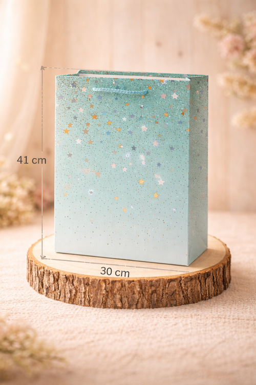 Bolsa de Regalo Niño